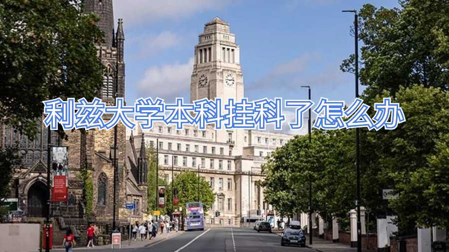 利兹大学本科挂科了怎么办
