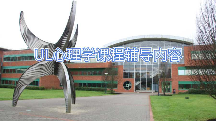 爱尔兰心理学课程辅导