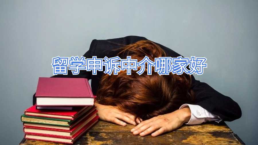 留学申诉中介哪家好