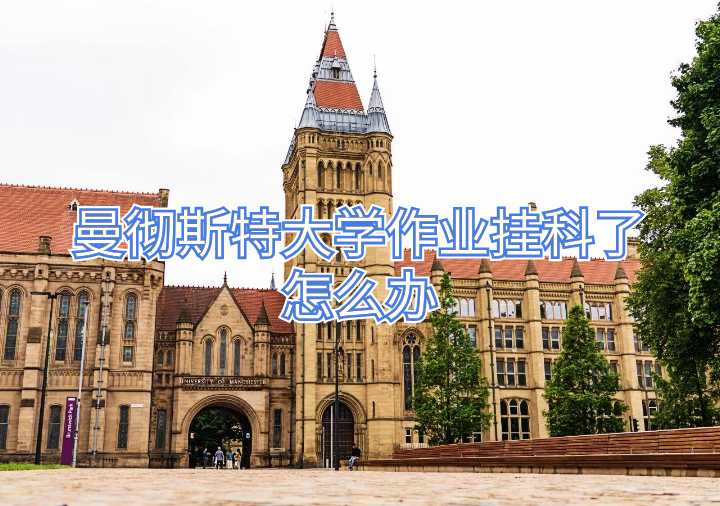 曼彻斯特大学作业挂科了怎么办
