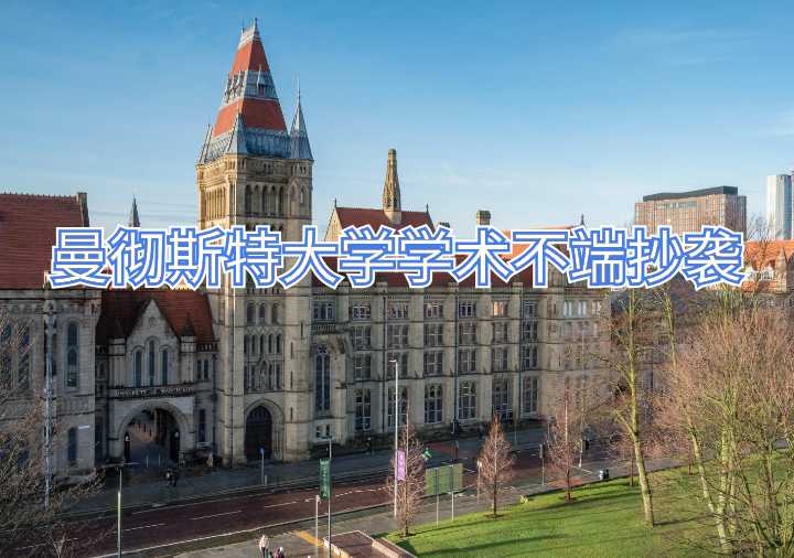 曼彻斯特大学学术不端抄袭