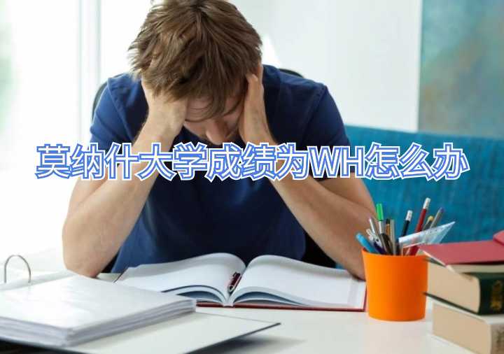 莫纳什大学成绩为WH怎么办