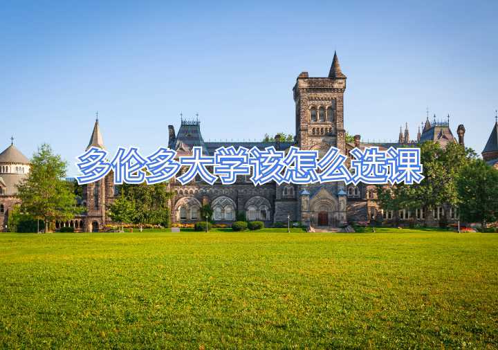 多伦多大学该怎么选课
