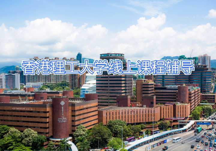 香港理工大学线上课程辅导