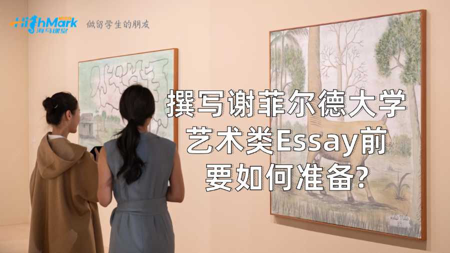 撰写谢菲尔德大学艺术类Essay前要如何准备