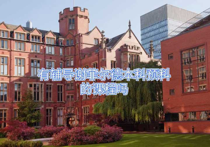 有辅导谢菲尔德本科预科的课程吗