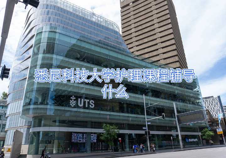 悉尼科技大学护理课程辅导什么
