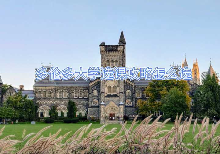 多伦多大学选课攻略怎么选