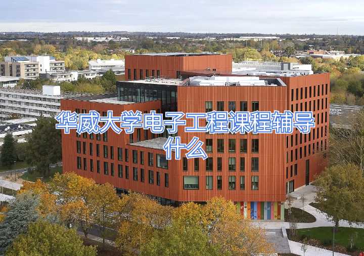华威大学电子工程课程辅导什么