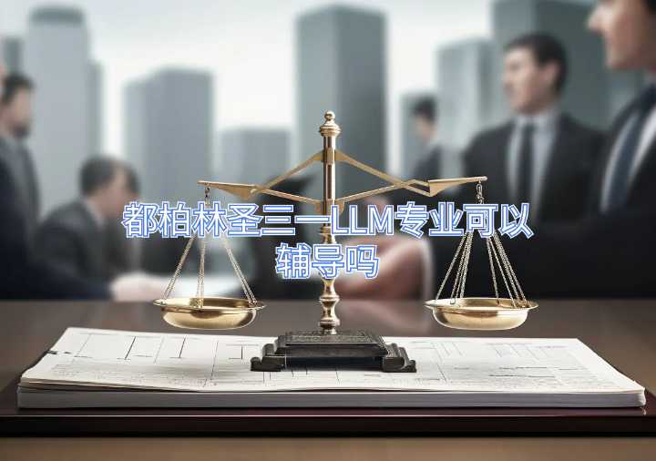都柏林圣三一LLM专业可以辅导吗