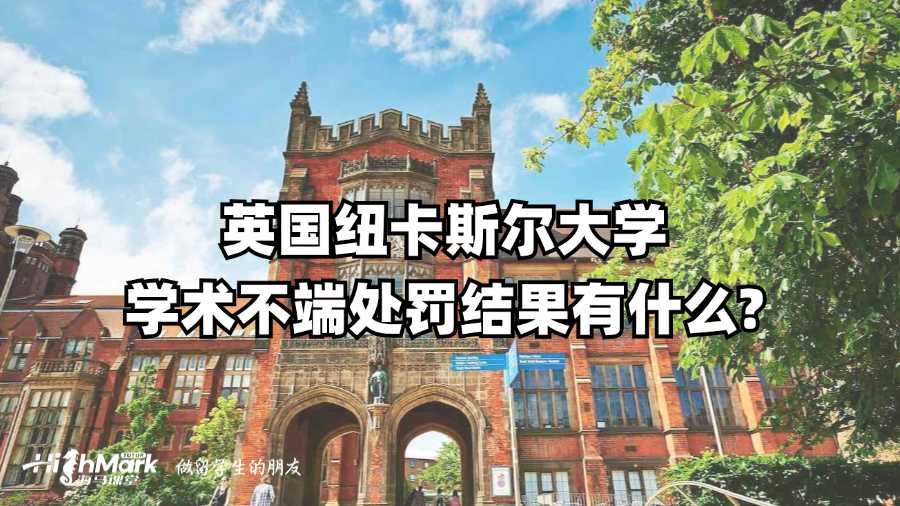 英国纽卡斯尔大学学术不端处罚结果有什么?