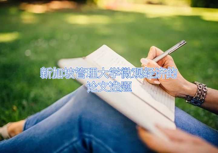 新加坡管理大学微观经济的论文选题