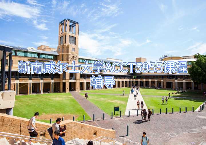 新南威尔士大学ACCT5955课程辅导