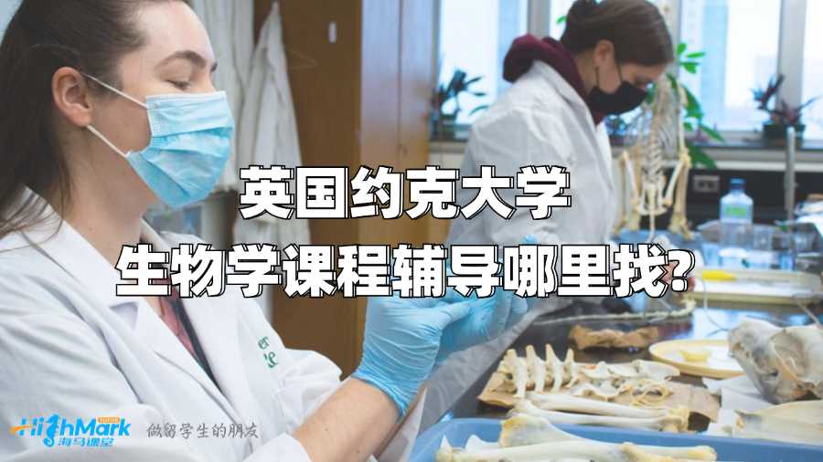 英国约克大学生物学课程辅导哪里找?