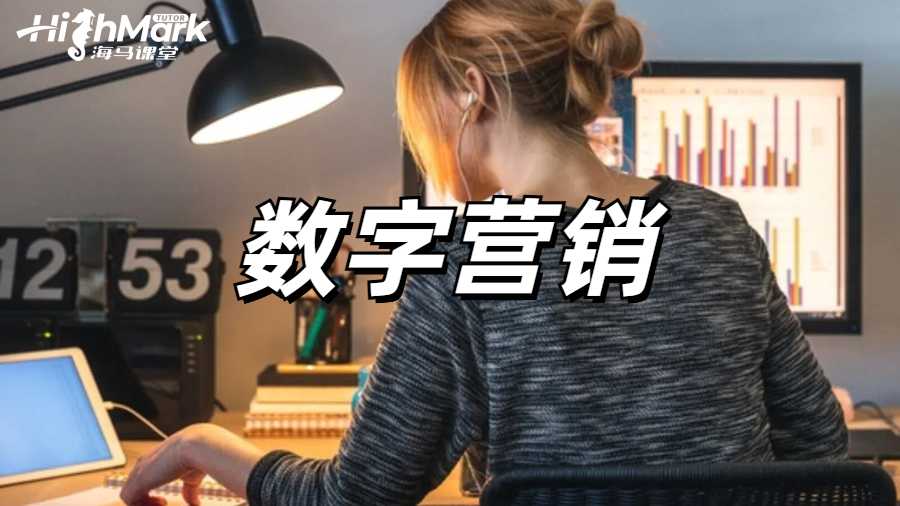 数字营销课程辅导
