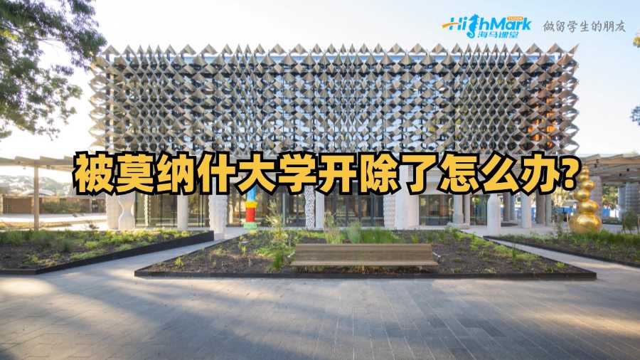 被莫纳什大学开除了怎么办?