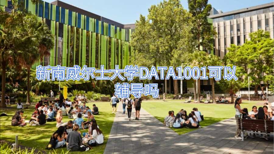 新南威尔士大学DATA1001可以辅导吗