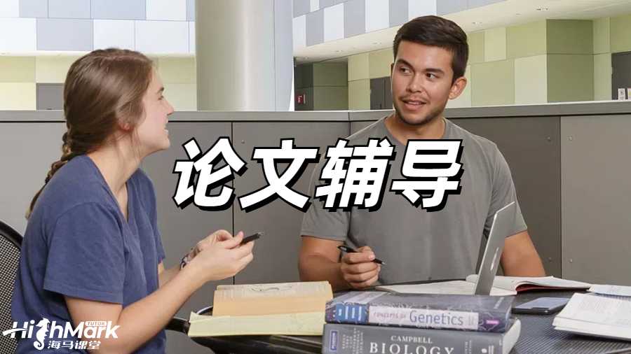 Dissertation辅导