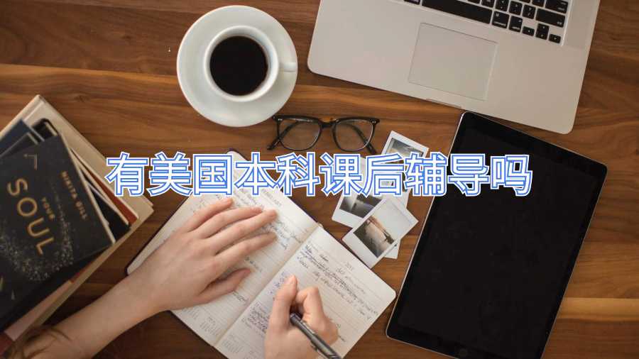 有美国本科课后辅导吗