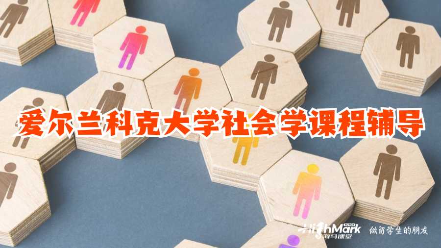 爱尔兰科克大学社会学课程辅导