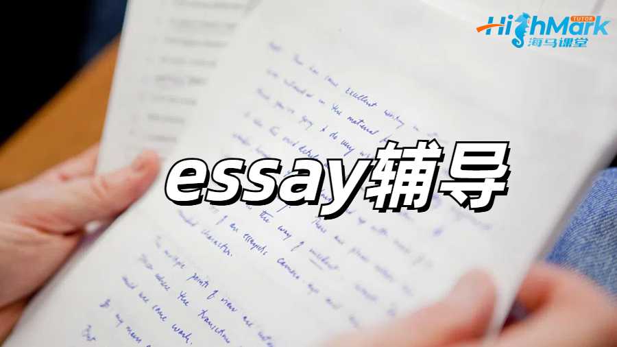 essay辅导