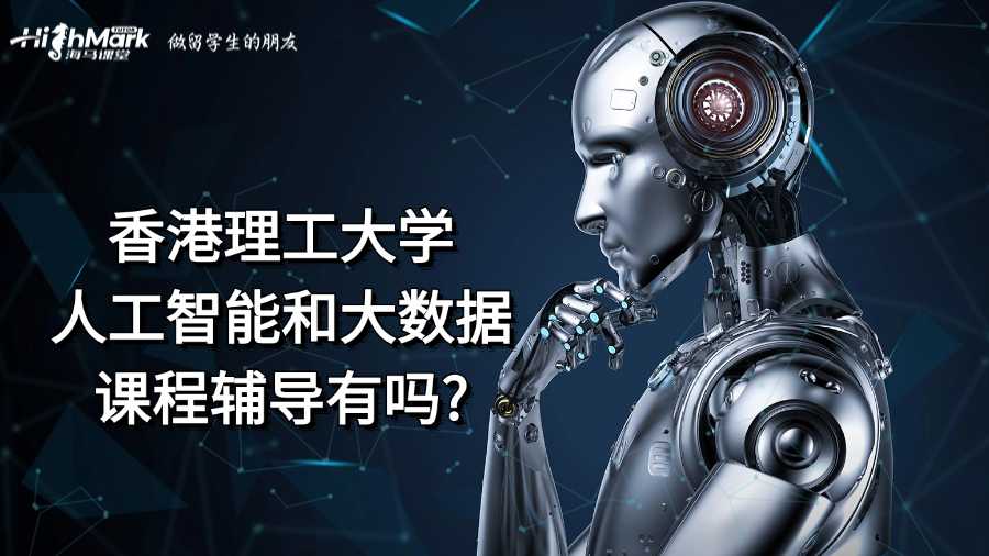 香港理工大学人工智能和大数据课程辅导有吗?