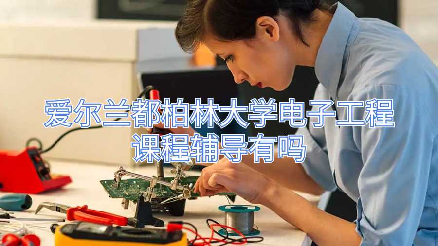 爱尔兰都柏林大学电子工程课程辅导有吗