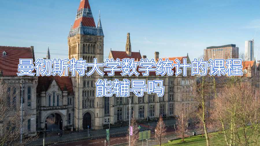 曼彻斯特大学数学统计的课程能辅导吗