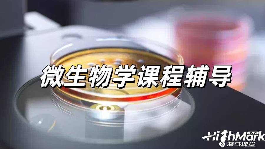 留学生课程辅导