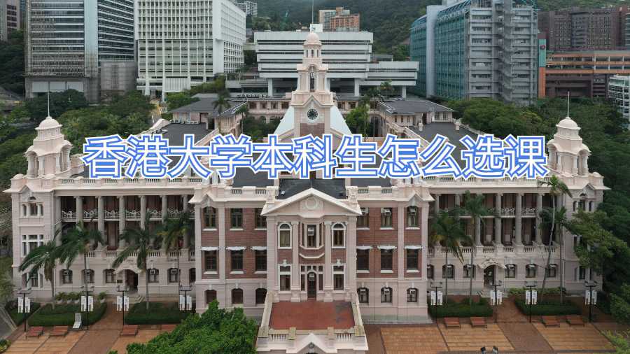香港大学本科生怎么选课