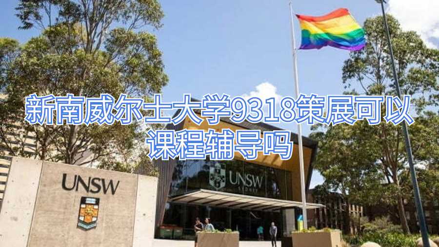 新南威尔士大学9318策展可以课程辅导吗