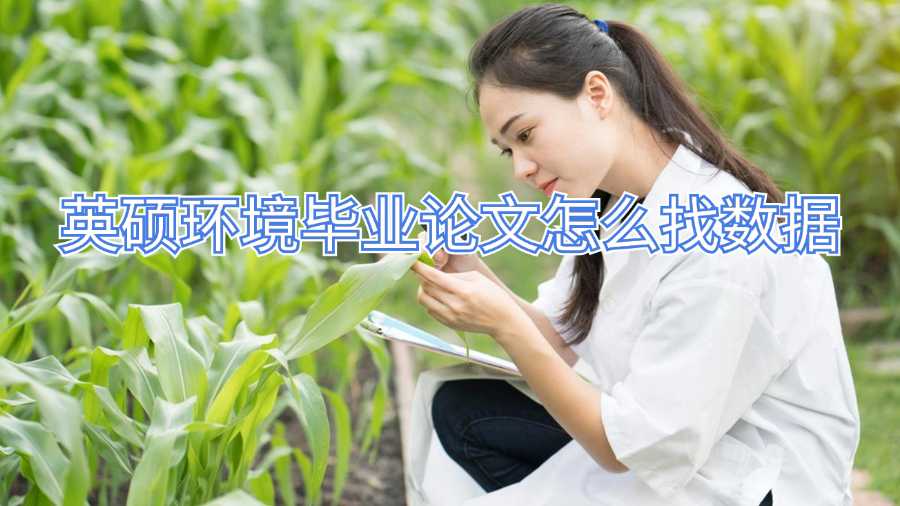 英硕环境毕业论文怎么找数据