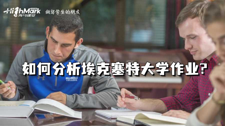 如何分析埃克塞特大学作业?