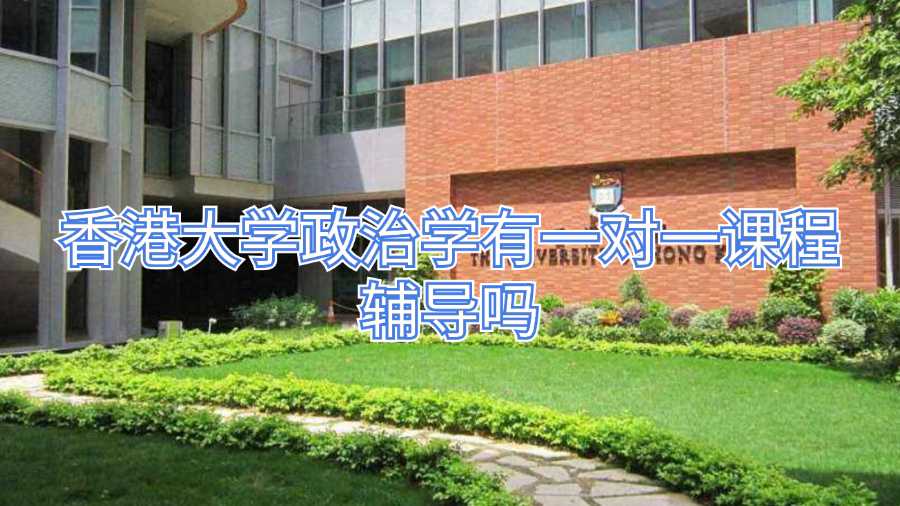 香港大学政治学有一对一课程辅导吗