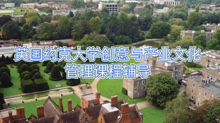 英国约克大学创意与产业文化管理课程辅导