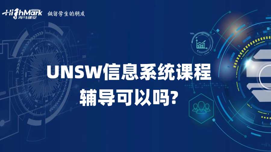 UNSW信息系统课程辅导可以吗?
