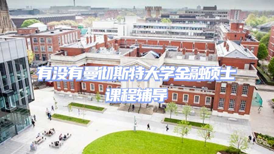 曼彻斯特大学金融硕士课程辅导