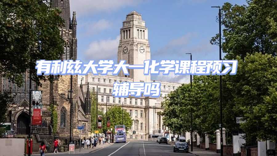 利兹大学课程预习辅导