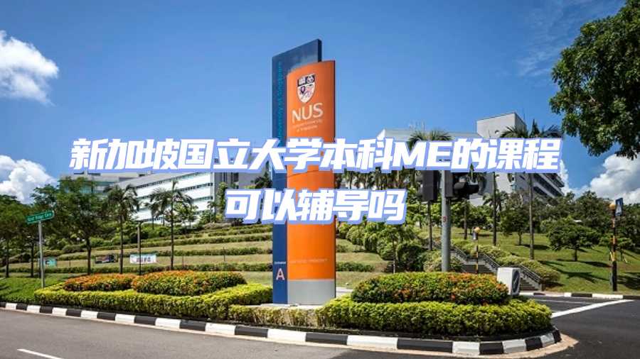 新加坡国立大学课程辅导