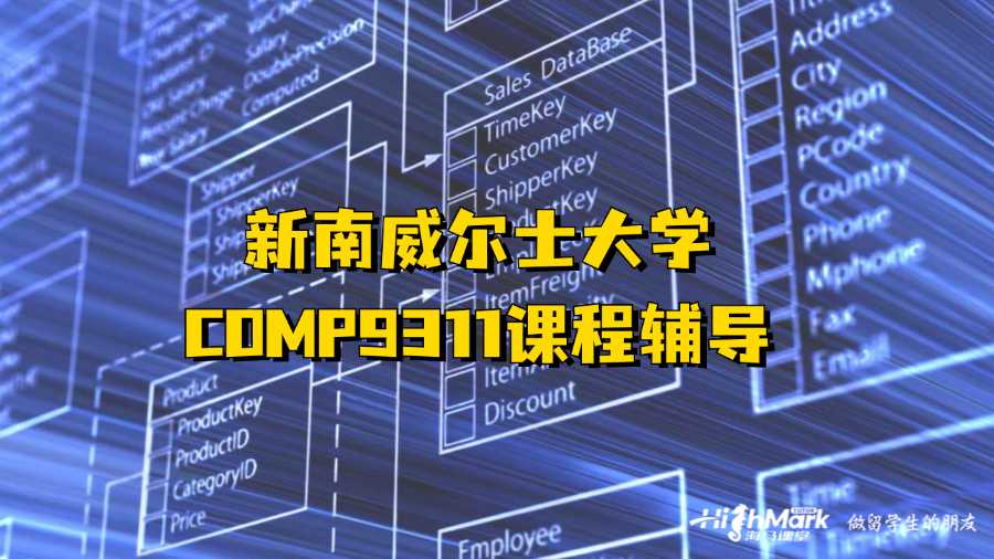 新南威尔士大学COMP9311课程辅导可以吗?
