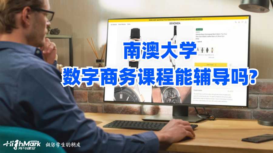 南澳大学数字商务课程能辅导吗?