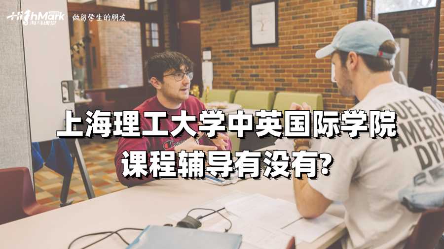 上海理工大学中英国际学院课程辅导有没有?