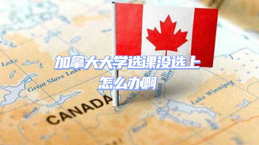 加拿大大学选课没选上怎么办啊