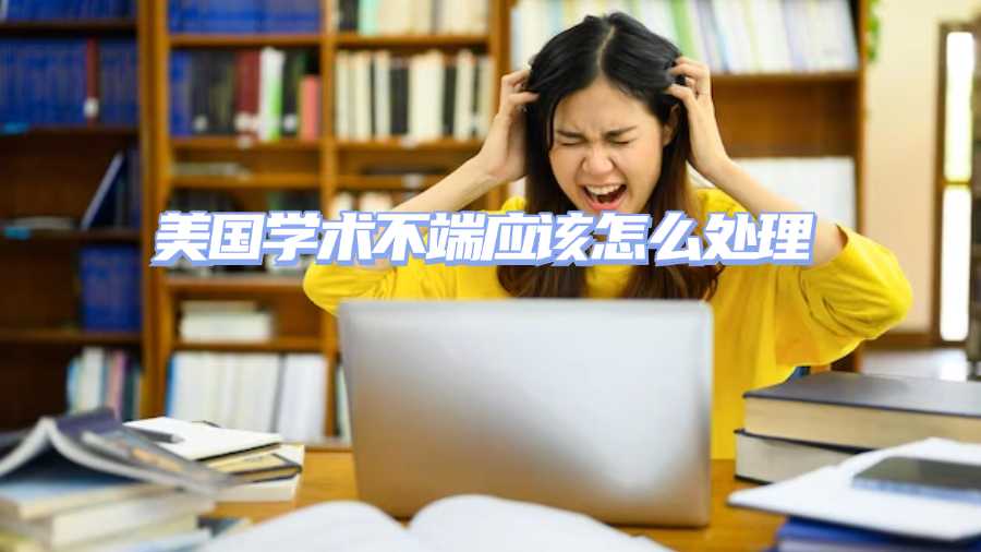 美国学术不端应该怎么处理