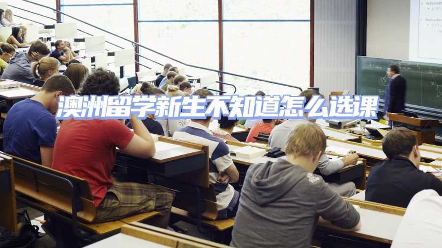 澳洲留学新生不知道怎么选课