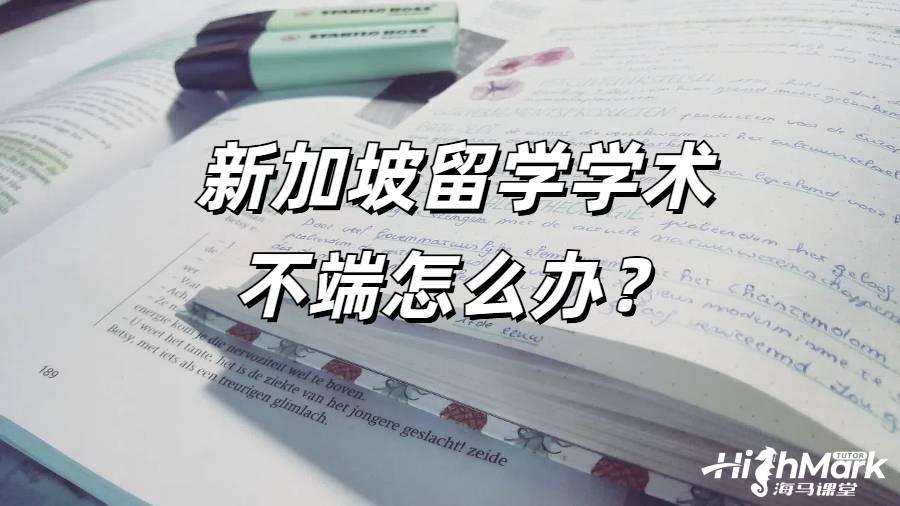 新加坡留学学术不端