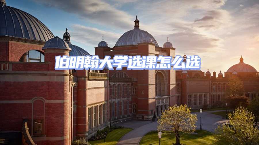 伯明翰大学选课辅导