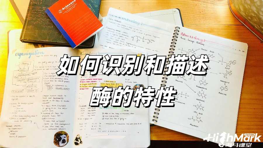 英国留学生毕业论文学术不端