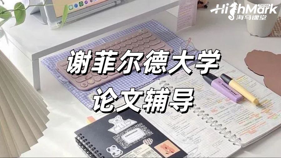 约克大学教育社会学课程辅导