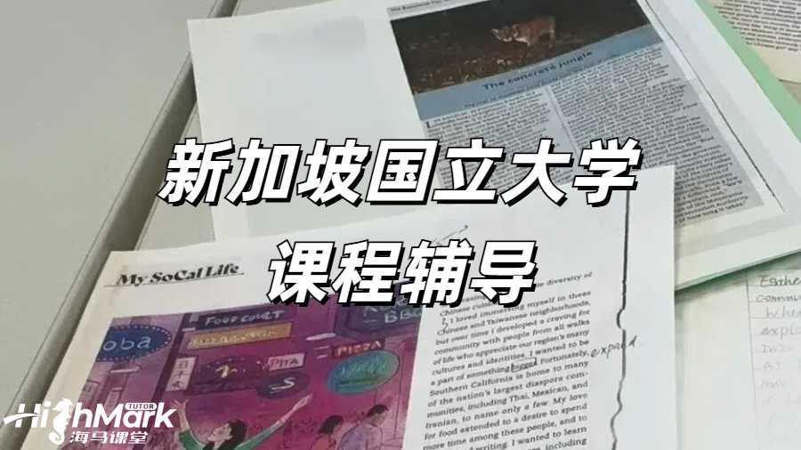 新加坡国立大学课程辅导